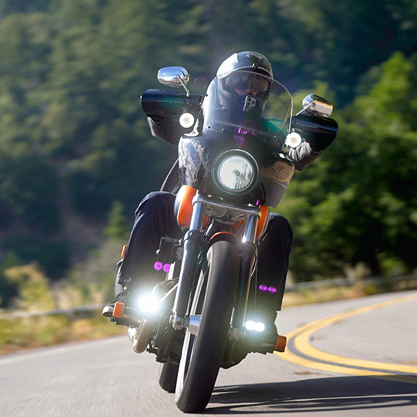 Translation missing: en.The Perfect Mount for V-Twin Bikes