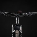 Bike Mount