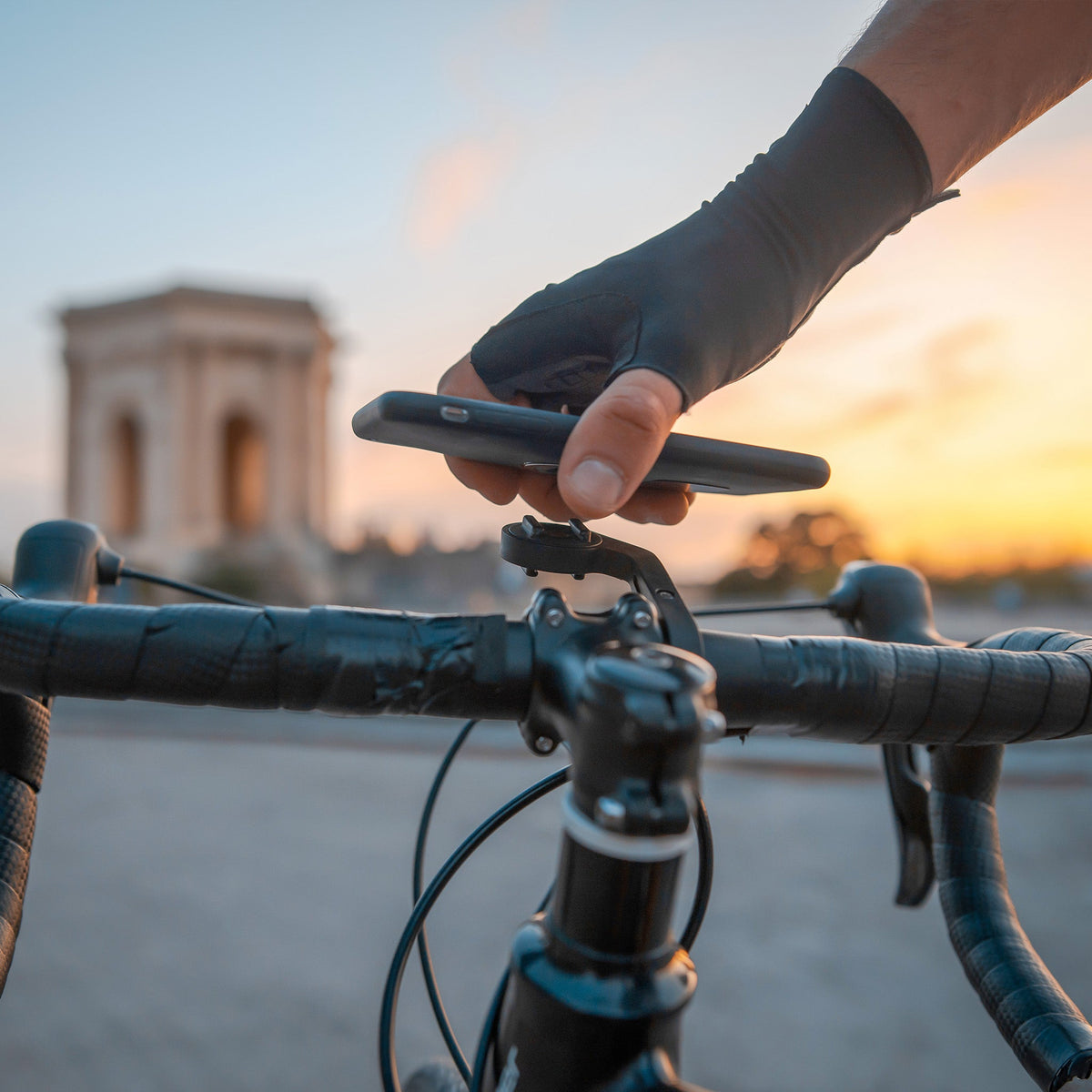 Handlebar Mount